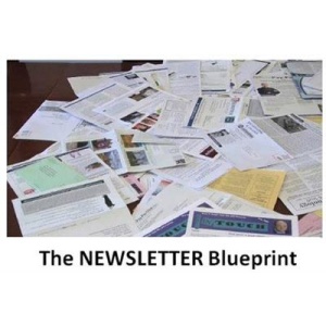 Dan Kennedy Newsletter Blueprint Course 