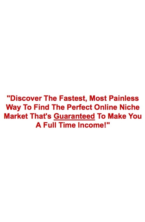 Kevin Wilke 241 Proven Niche Markets