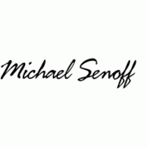 Michael Senoff – $10,000 Ultimate Contract & Business Letter Agreements