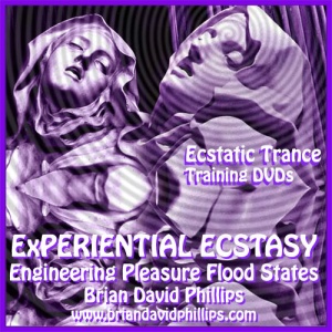 Brian David Phillips – ExPERIENTIAL ECSTASY Engineering Positive Emotional Flood States