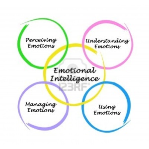  Wyatt Woodsmall – Emotional Intelligence 